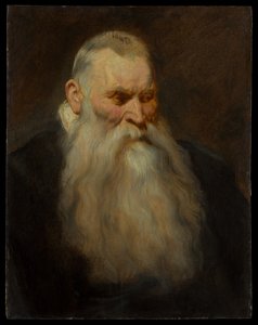 Hovedstudie af en gammel mand med hvidt skæg af Anthony van Dyck