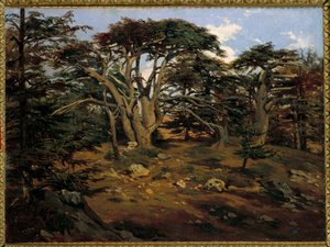 De gamle cedertræer på Libanonbjerget ved Boumana Maleri af Antoine Alphonse Montfort (1802-1884) 1800-tallet søn. 0,32x0,44 m Paris, Orsay Museum af Antoine Alphonse Montfort