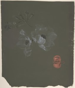 Blomsterdesign af Antoine Berjon