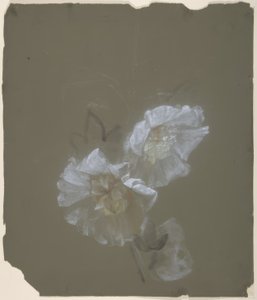 Blomsterdesign af Antoine Berjon