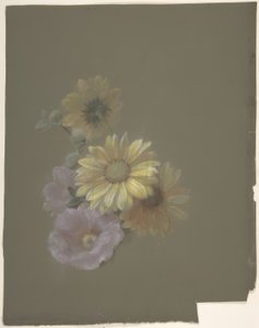 Gule tusindfryd og Pink Wild Rose