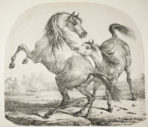 Vilde heste kæmper, ca. 1820 af Antoine Charles Horace Vernet