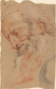 Hovedet af en gammel mand af Antoine Coypel