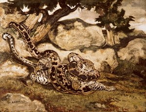 En python dræber en tiger (wc und gouache på papir) af Antoine Louis Barye