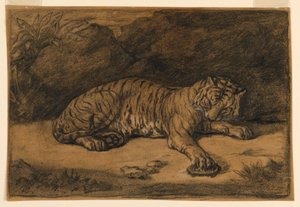 En tiger og en skildpadde af Antoine Louis Barye