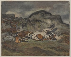 Rolling Tiger, ca. 1840 (wc på papir) af Antoine Louis Barye