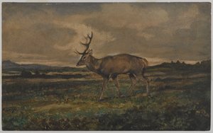Hjortevandring (wc på papir) af Antoine Louis Barye