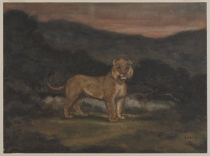 Stående løvinde (wc på papir) af Antoine Louis Barye