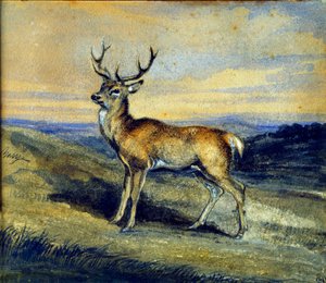 The deer. Painting by Antoine Louis Baryedani af Antoine Louis Barye
