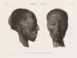 Beskrivelse af Egypten: Theben. Hypogæerne Vol. II, Pl. 49 af Antoine Maxime Monsaldy