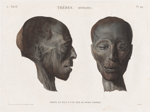 Beskrivelse af Egypten: Theben. Hypogees Vol. II, Pl. 49. af Antoine Maxime Monsaldy