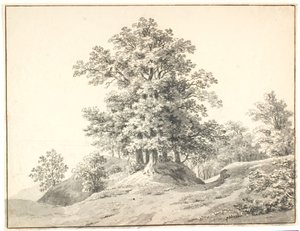 Landskab med store træer ved Elben. Buxtehude