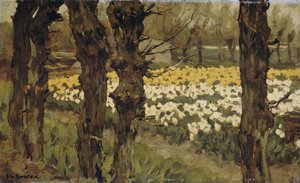 Tulipanmarker af Anton L. Koster