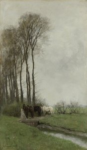 Heste ved hegnet af Anton Mauve