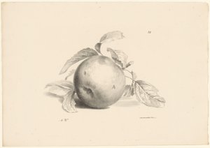 Appel Frugt (serietitel)