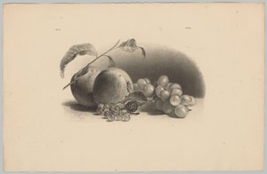 Æbler, bær, brombær og vindruer Blomster- og frugtstudier (...) 3. afsnit (serietitel)