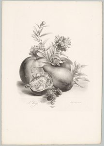 Blomster, æbler, pære, granatæble og brombær Blomster- og frugtstudier (...) 10. afsnit (serietitel)