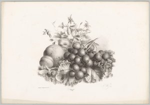 Blomster, fersken, nektarin, vindruer og brombær Blomster- og frugtstudier (...) 10. afsnit (serietitel) af Anton Weiss