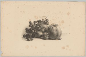 Vindruer og æbler Blomster- og frugtstudier (...) 3. afsnit (serietitel)