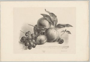 Druer, blomme, ferskner og kirsebær Blomster- og frugtstudier (...) 10. afsnit (serietitel) af Anton Weiss