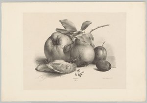 Frugt, blommer og østers Blomster- og frugtstudier (...) 10. afsnit (serietitel) af Anton Weiss