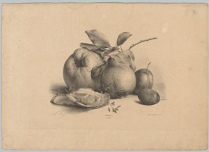 Frugt, blommer og østers Blomster- og frugtstudier (...) 10. afsnit (serietitel) af Anton Weiss