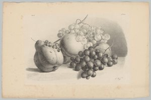 Græskar, bær, vindruer og ferskner Blomster- og frugtstudier (...) 3. afsnit (serietitel)