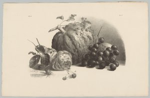 Græskar, vindruer, rose og jordbær Blomster- og frugtstudier (...) 3. afsnit (serietitel)
