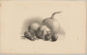 Græskar, ferskner, abrikos, blommer og hasselnødder Blomster- og frugtstudier (...) 3. afsnit (serietitel)