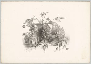 Roser, dahliaer og fuchsia Blomster- og frugtstudier (...) 10. afsnit (serietitel)