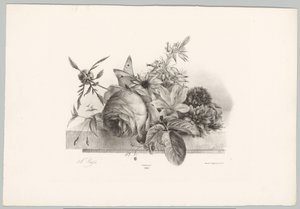 Roser, liljer, klokkeformede blomster og sommerfugl Blomster- og frugtstudier (...) 10. afsnit (serietitel) af Anton Weiss