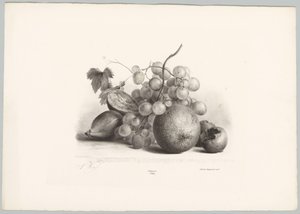 Figner, druer og appelsin Blomster- og frugtstudier (...) 10. afsnit (serietitel) af Anton Weiss
