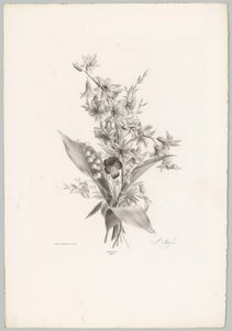Stedmoderblomst og hyacint og klokkeformede blomster Blomster- og frugtstudier (...) 10. afsnit (serietitel)