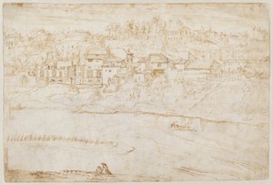 Udsigt over Janiculum Hill set fra Tiberen (recto) af Antonie van den Wyngaerde