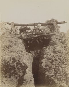 Sehaquieh, Egypten af Antonio Beato