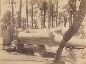 Statue af Ramses ved Saqqara af Antonio Beato