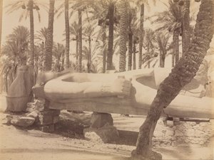 Statue af Ramses ved Saqqara, ca. 1870