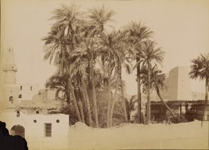 [Village and Pylon of Edfu] / [Village et Pylone d