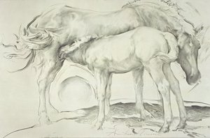 Horses at Coolmore, 1990 (kul på papir)