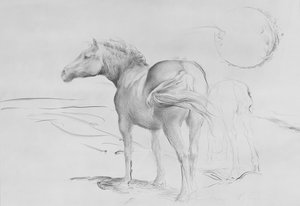 Horses at Coolmore, 1990 (kul på papir) af Antonio Ciccone