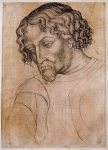 Buste af skægget mand, trekvart hoved lænet til venstre. Tegning af værkstedet Antonio di Puccio Pisano dit Pisanello (1395-1455). Fjer (tegning), blod. Mål: 28x20 cm. Louvre, tegnefirma af Antonio Pisanello