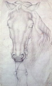 Hoved af en hest af Antonio Pisanello