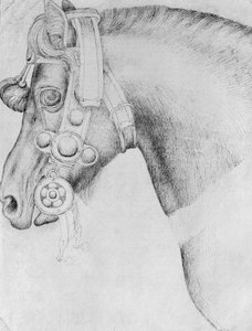 Hovedet af en hest, fra The Vallardi Album af Antonio Pisanello