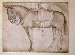 Muldyrsele. Tegning af Antonio Pisano dit il Pisanello (1380-1455) af Antonio Pisanello