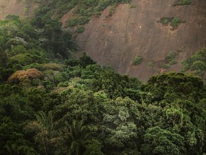 Corcovado XV, 2020 (digitalt fotografi) af Antonio Schubert