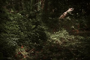 Lys og skygger, 2025 (digitalt fotografi) af Antonio Schubert