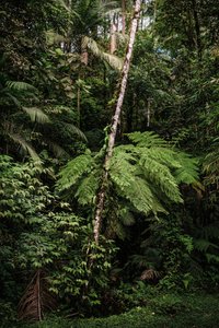 Mantiqueira XXXIV, 2015 (digitalt fotografi)