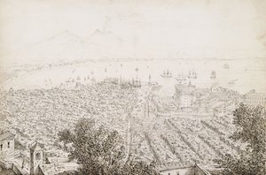 En panoramaudsigt over Napoli af Antonio Senape