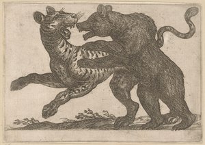 En bjørn, der kæmper mod en tiger Kampdyr (serietitel) af Antonio Tempesta