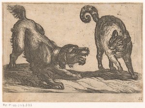 En hund, der kæmper mod en kat Kampdyr (serietitel) af Antonio Tempesta